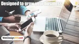 WebDesign309